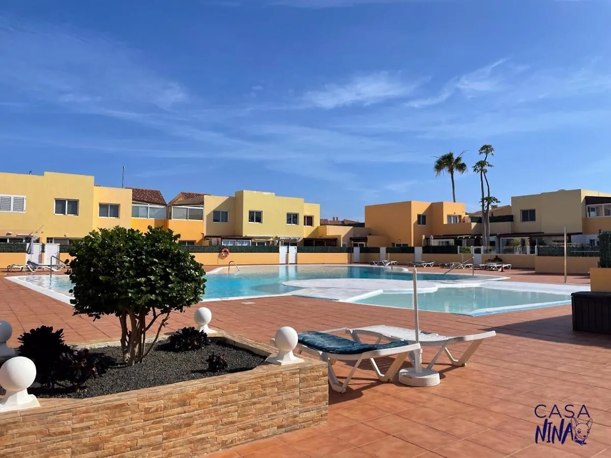 Los Delfines Corralejo España